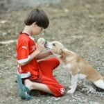 Terapia Assistida por Animais no Tratamento da Depressão: o que a ciência diz