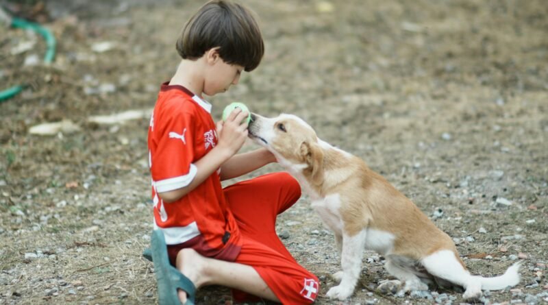 Terapia Assistida por Animais no Tratamento da Depressão: o que a ciência diz